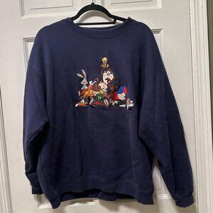 Warner Bros. Women's Blue Jumper